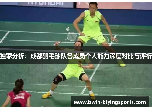 独家分析：成都羽毛球队各成员个人能力深度对比与评析