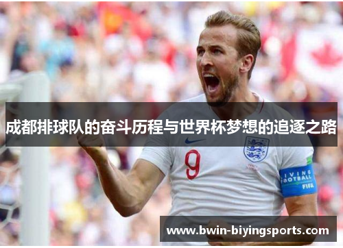 成都排球队的奋斗历程与世界杯梦想的追逐之路