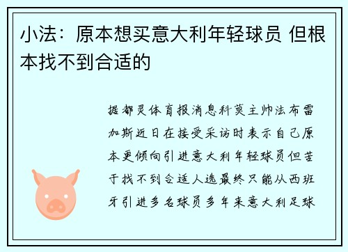 小法：原本想买意大利年轻球员 但根本找不到合适的